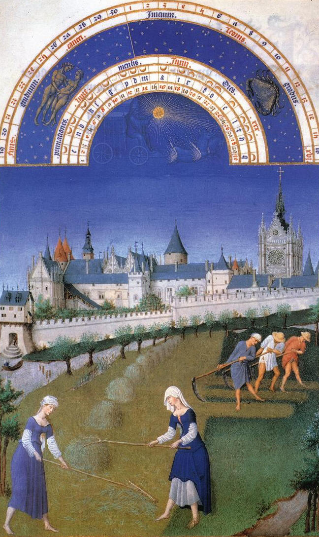 Agricultural field work in the Middle Ages