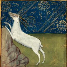 Poitou goat cheese production