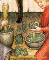 Verjuice and medieval acidic condiments